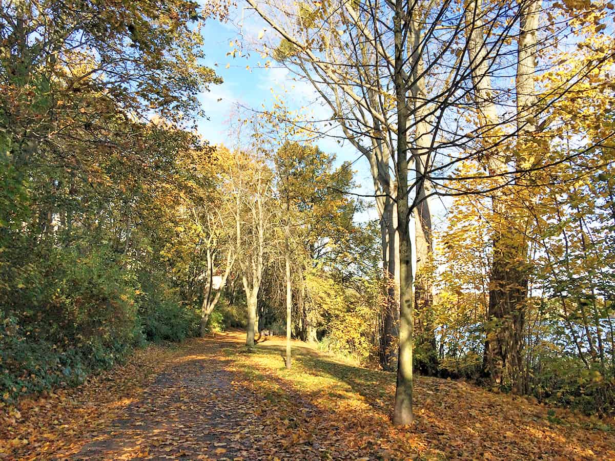 lieblingslaufstrecke_schwerin_ziegelinnensee_6