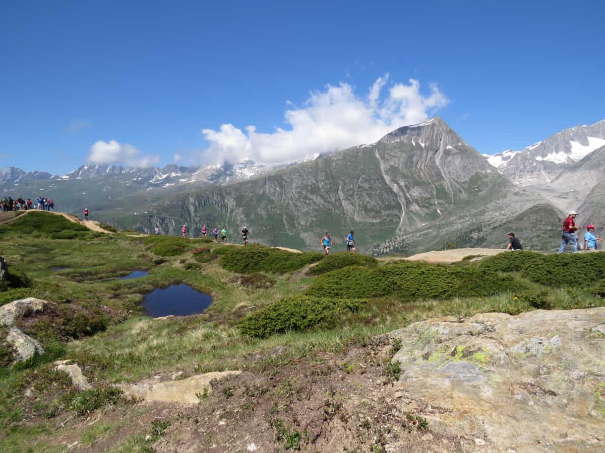 Panorama Aletsch Halbmarathon 2015