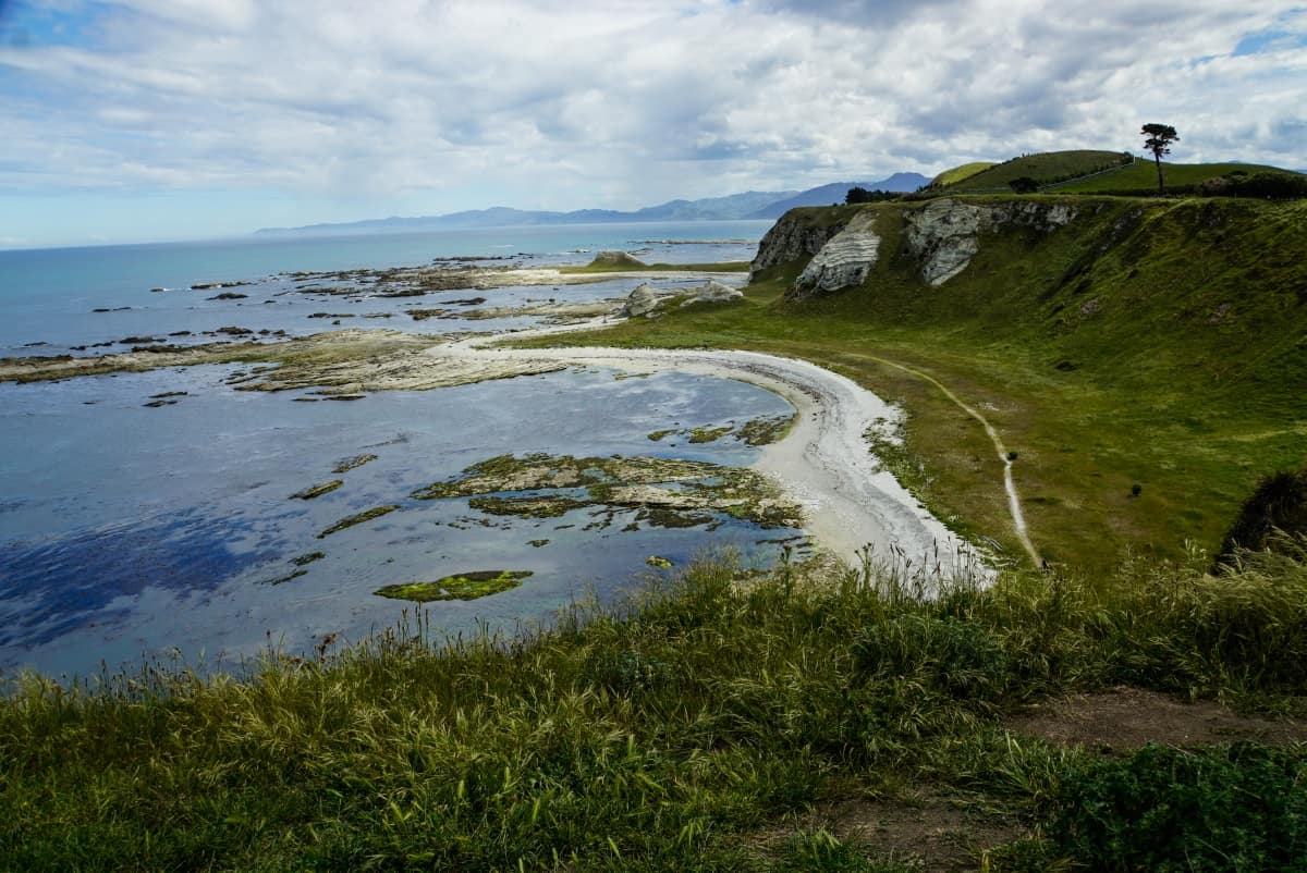 neuseeland-blenheim-kaikoura-11