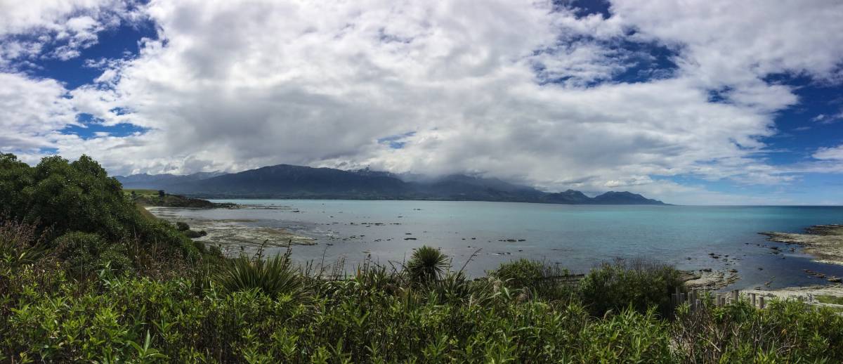 neuseeland-blenheim-kaikoura-26