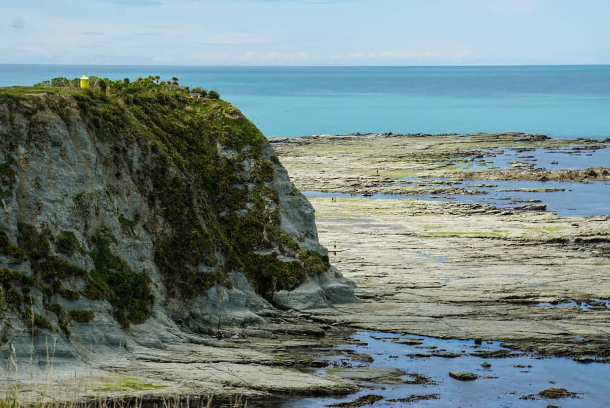 neuseeland-blenheim-kaikoura-7