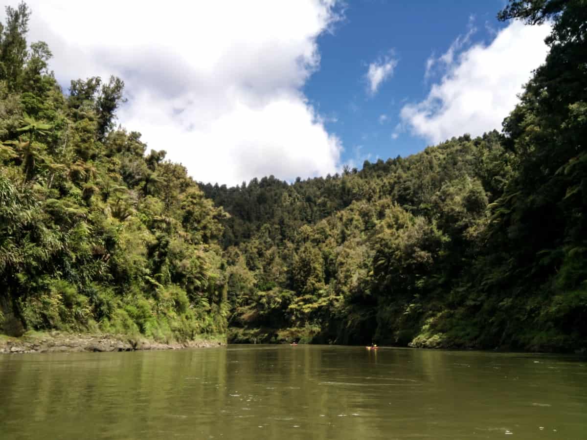 Whanganui River